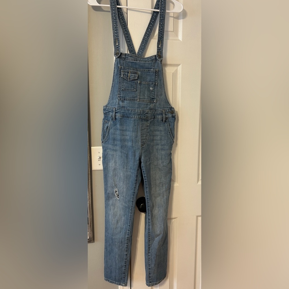 Free People Light Blue Denim Overalls
